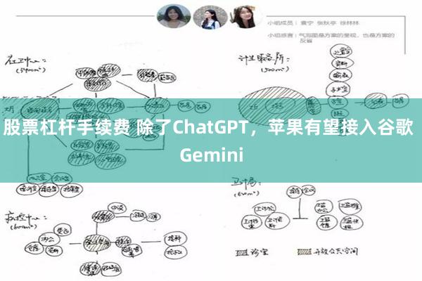 股票杠杆手续费 除了ChatGPT，苹果有望接入谷歌 Gemini