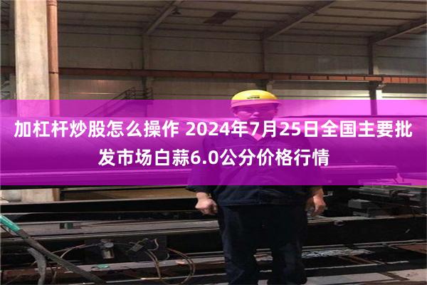 加杠杆炒股怎么操作 2024年7月25日全国主要批发市场白蒜6.0公分价格行情