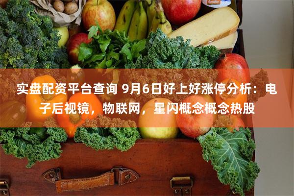 实盘配资平台查询 9月6日好上好涨停分析：电子后视镜，物联网，星闪概念概念热股