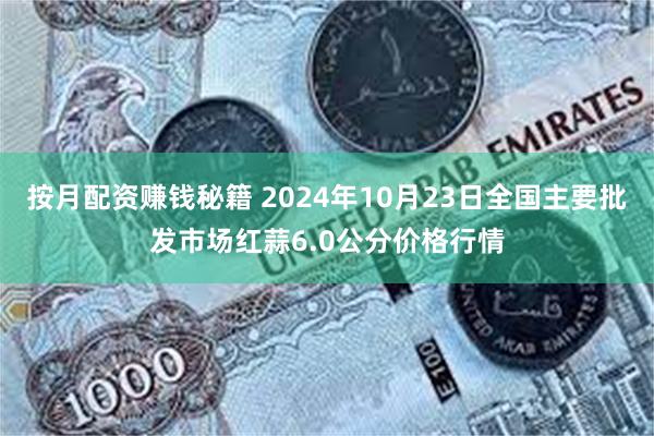 按月配资赚钱秘籍 2024年10月23日全国主要批发市场红蒜6.0公分价格行情