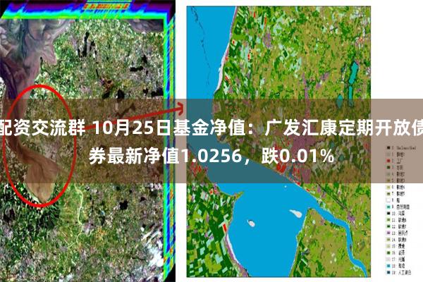 配资交流群 10月25日基金净值：广发汇康定期开放债券最新净值1.0256，跌0.01%