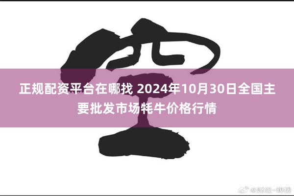 正规配资平台在哪找 2024年10月30日全国主要批发市场牦牛价格行情