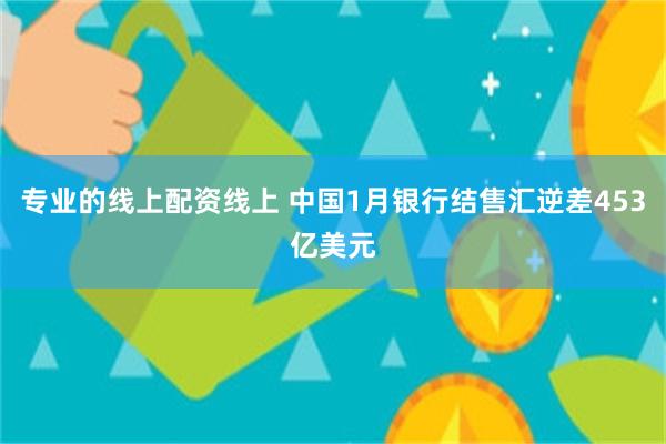 专业的线上配资线上 中国1月银行结售汇逆差453亿美元