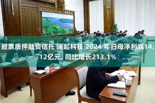 股票质押融资信托 澜起科技 2024 年归母净利润14.12亿元, 同比增长213.1%