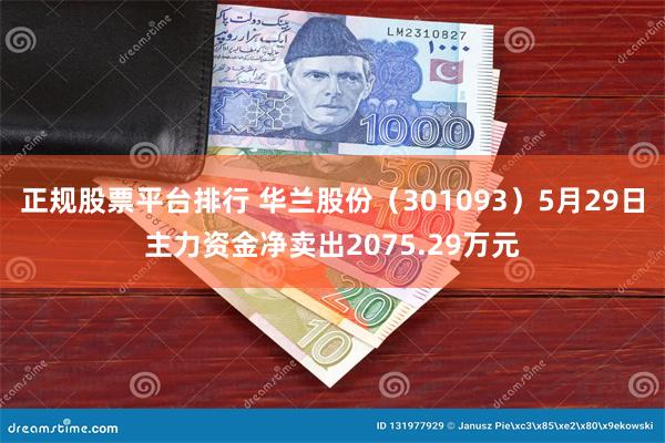 正规股票平台排行 华兰股份（301093）5月29日主力资金净卖出2075.29万元